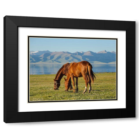 Horses on their mountain pasture at lake Song Kol  Black Modern Wood Framed Art Print with Double Matting by Zwick, Martin