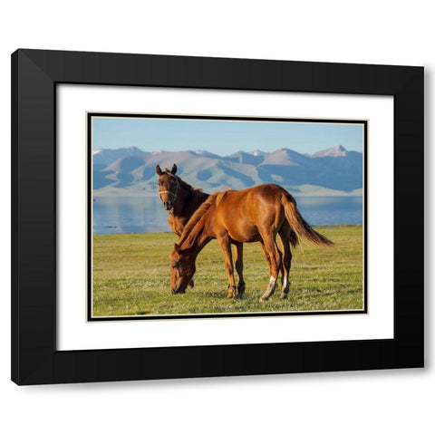 Horses on their mountain pasture at lake Song Kol  Black Modern Wood Framed Art Print with Double Matting by Zwick, Martin