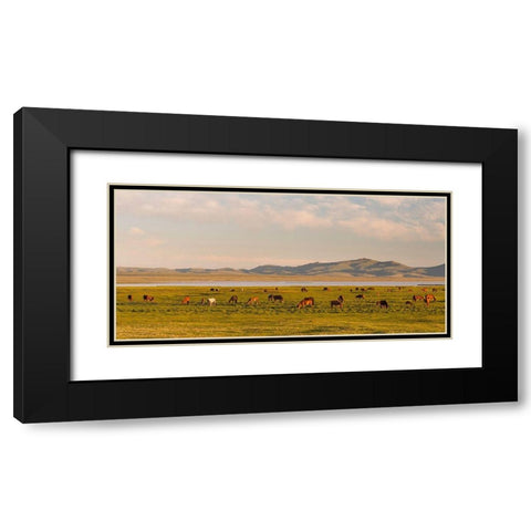 Horses on their mountain pasture at lake Song Kol  Black Modern Wood Framed Art Print with Double Matting by Zwick, Martin