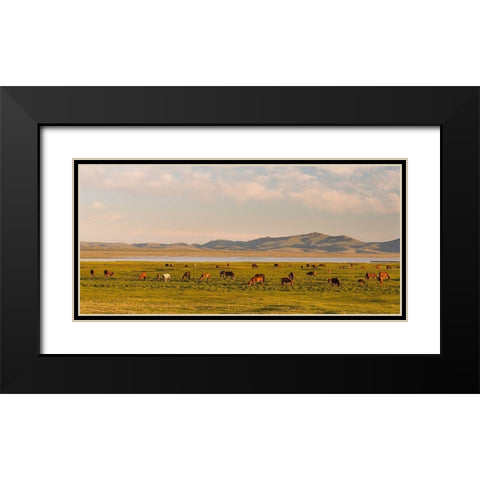 Horses on their mountain pasture at lake Song Kol  Black Modern Wood Framed Art Print with Double Matting by Zwick, Martin