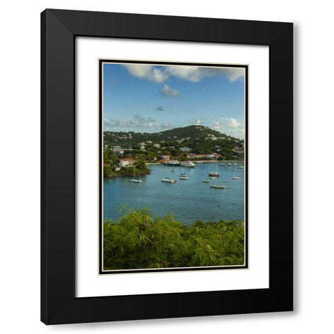 Caribbean, USA Virgin Islands, St John Cruz Bay Black Modern Wood Framed Art Print with Double Matting by Illg, Cathy and Gordon