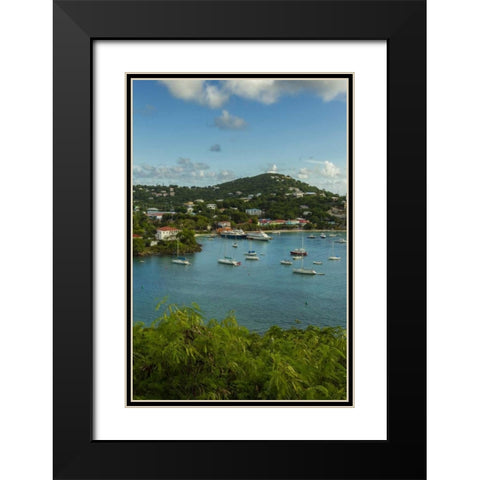 Caribbean, USA Virgin Islands, St John Cruz Bay Black Modern Wood Framed Art Print with Double Matting by Illg, Cathy and Gordon