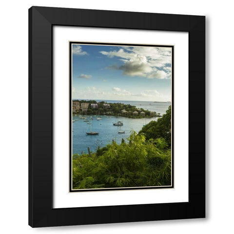 Caribbean, USA Virgin Islands, St John Cruz Bay Black Modern Wood Framed Art Print with Double Matting by Illg, Cathy and Gordon