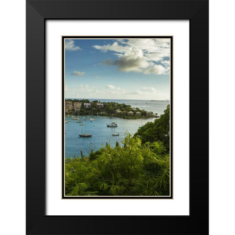 Caribbean, USA Virgin Islands, St John Cruz Bay Black Modern Wood Framed Art Print with Double Matting by Illg, Cathy and Gordon