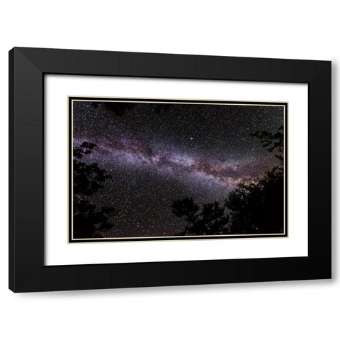 Canada-Ontario-Sioux Narrows Provincial Park-Night sky with Milky Way Black Modern Wood Framed Art Print with Double Matting by Jaynes Gallery