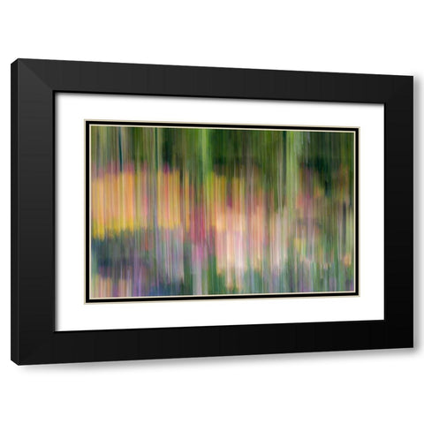 France-Giverny Abstract of flowers in Monets Garden Black Modern Wood Framed Art Print with Double Matting by Jaynes Gallery