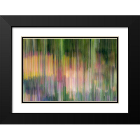 France-Giverny Abstract of flowers in Monets Garden Black Modern Wood Framed Art Print with Double Matting by Jaynes Gallery