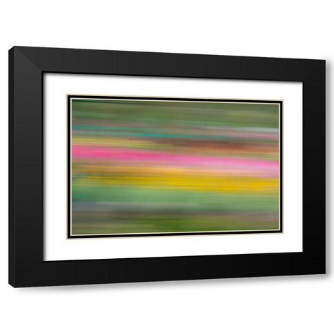 France-Giverny Abstract of flowers in Monets Garden Black Modern Wood Framed Art Print with Double Matting by Jaynes Gallery