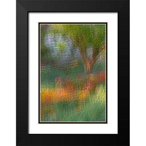 France-Giverny Impression of flowers in Monets Garden Black Modern Wood Framed Art Print with Double Matting by Jaynes Gallery