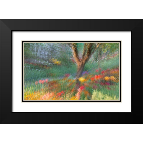 France-Giverny Impression of flowers in Monets Garden Black Modern Wood Framed Art Print with Double Matting by Jaynes Gallery