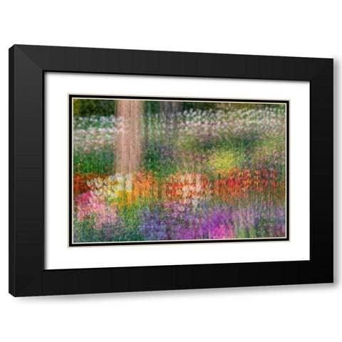 France-Giverny Impression of flowers in Monets Garden Black Modern Wood Framed Art Print with Double Matting by Jaynes Gallery
