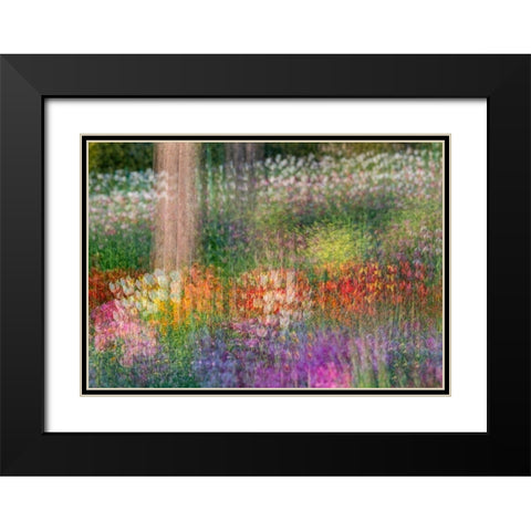 France-Giverny Impression of flowers in Monets Garden Black Modern Wood Framed Art Print with Double Matting by Jaynes Gallery