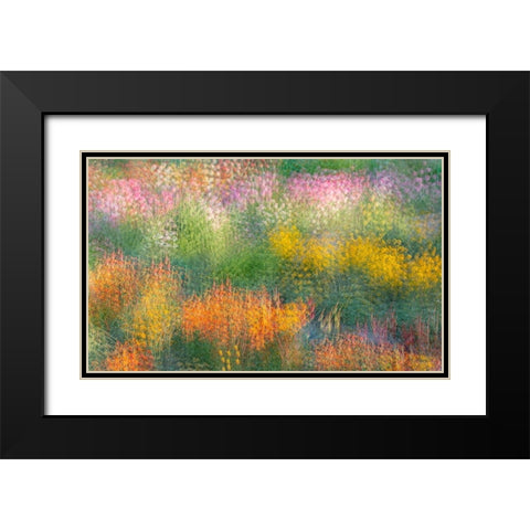 France-Giverny Impression of flowers in Monets Garden Black Modern Wood Framed Art Print with Double Matting by Jaynes Gallery
