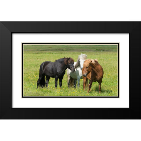 Horses on the ranch-south Iceland Black Modern Wood Framed Art Print with Double Matting by Su, Keren