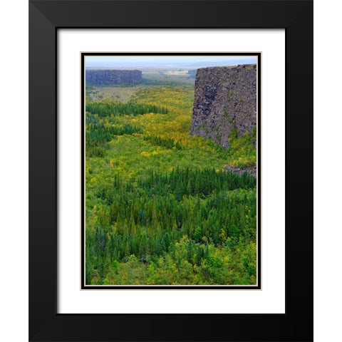 Asbyrgi canyon in Vatnajokull National Park-Iceland Black Modern Wood Framed Art Print with Double Matting by Zwick, Martin