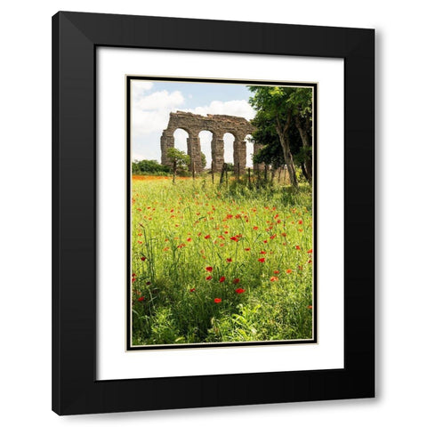 Italy-Rome Parc of the Aqueducts (Parco degli Acquedotti)-Acqua Claudio Black Modern Wood Framed Art Print with Double Matting by Jones, Alison