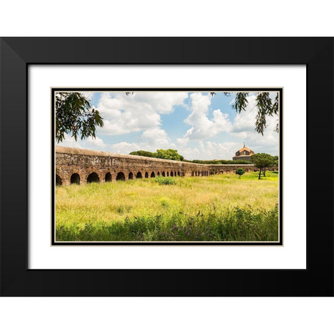 Italy-Rome Parc of the Aqueducts (Parco degli Acquedotti),Acquedotto Felice Black Modern Wood Framed Art Print with Double Matting by Jones, Alison