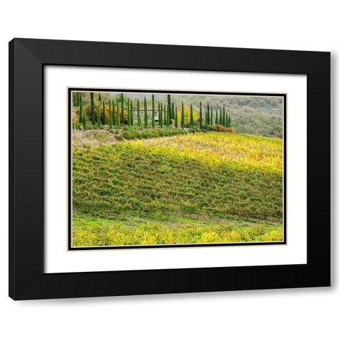 Italy-Chianti Vineyard in autumn in the Chianti region of Tuscany Black Modern Wood Framed Art Print with Double Matting by Eggers, Julie