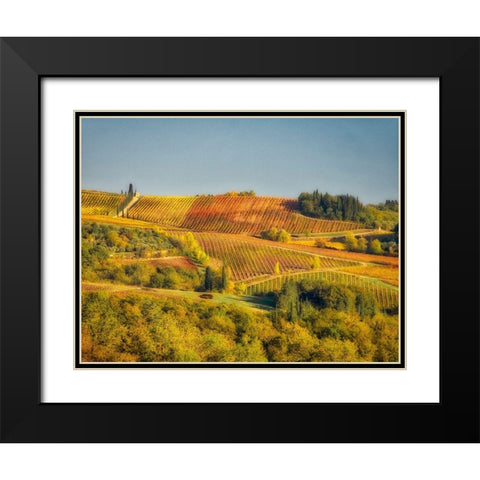 Italy-Chianti Vineyard in autumn in the Chianti region of Tuscany Black Modern Wood Framed Art Print with Double Matting by Eggers, Julie