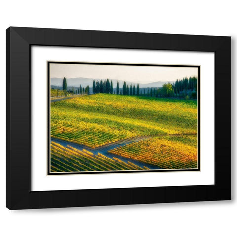 Italy-Chianti Vineyard in autumn in the Chianti region of Tuscany Black Modern Wood Framed Art Print with Double Matting by Eggers, Julie