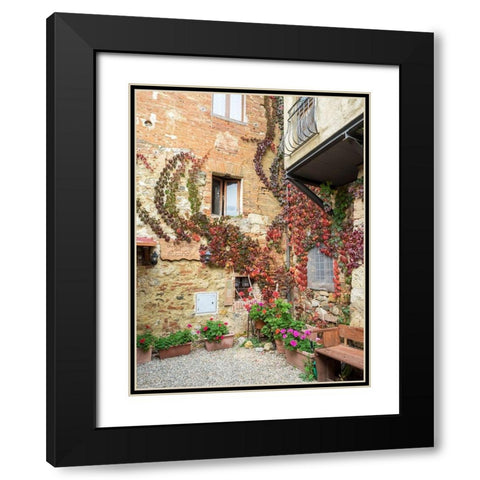 Italy-Chianti Back street alleyway with fall colored climbing vine Black Modern Wood Framed Art Print with Double Matting by Eggers, Julie