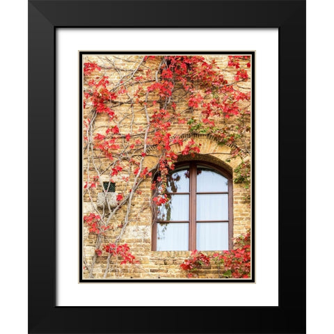 Italy-Chianti Red climbing ivy vine on a stone wall Black Modern Wood Framed Art Print with Double Matting by Eggers, Julie