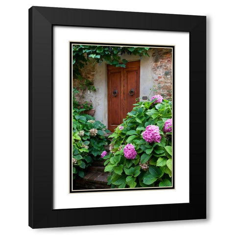 Italy-Tuscany-Pienza Hydrangeas at the entrance of a home in the streets of Pienza Black Modern Wood Framed Art Print with Double Matting by Eggers, Julie