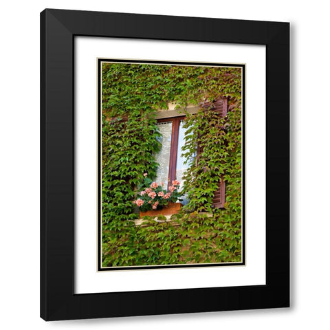 Italy-Tuscany-Montepulciano Window surrounded by ivy with pot of geraniums in hill town Black Modern Wood Framed Art Print with Double Matting by Eggers, Julie