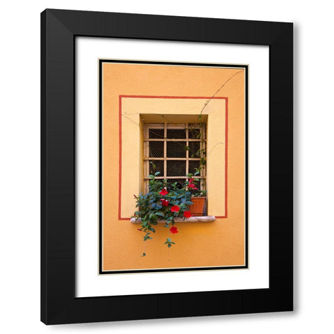Italy-Tuscany-Montepulciano Potted plant on a windowsill in the hill town of Montepulciano Black Modern Wood Framed Art Print with Double Matting by Eggers, Julie