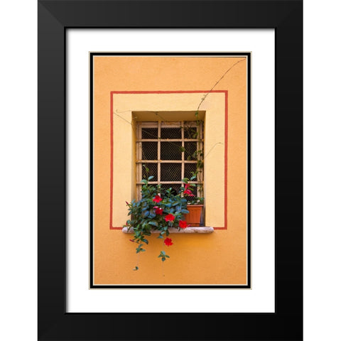 Italy-Tuscany-Montepulciano Potted plant on a windowsill in the hill town of Montepulciano Black Modern Wood Framed Art Print with Double Matting by Eggers, Julie