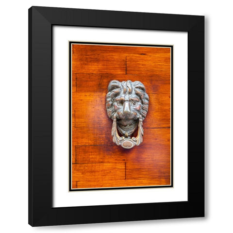 Italy-Venice-Burano Island Closeup of a lion head door knocker on a wooden door Black Modern Wood Framed Art Print with Double Matting by Eggers, Julie