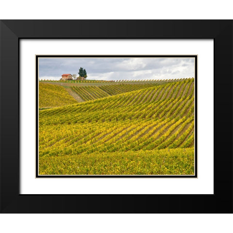 Italy-Tuscany Colorful vineyard in autumn Black Modern Wood Framed Art Print with Double Matting by Eggers, Julie