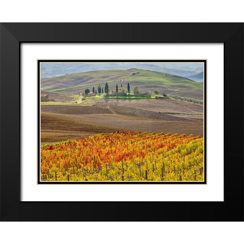 Italy-Tuscany Colorful vineyard in autumn Black Modern Wood Framed Art Print with Double Matting by Eggers, Julie