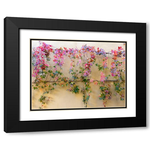 Italy-Tuscany-Pienza Colorful vines hanging on a wall along the streets Black Modern Wood Framed Art Print with Double Matting by Eggers, Julie