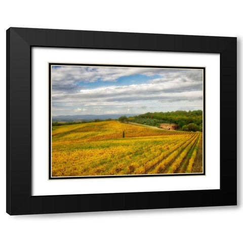Italy-Tuscany Colorful vineyard in autumn Black Modern Wood Framed Art Print with Double Matting by Eggers, Julie