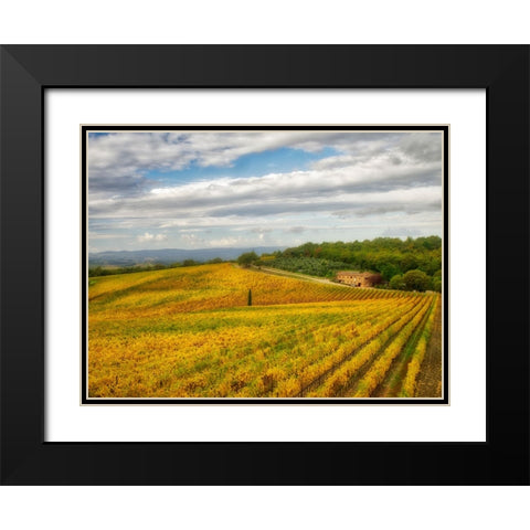 Italy-Tuscany Colorful vineyard in autumn Black Modern Wood Framed Art Print with Double Matting by Eggers, Julie