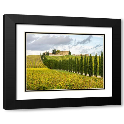 Italy-Tuscany Road lined with Italian cypress trees leading to a villa Black Modern Wood Framed Art Print with Double Matting by Eggers, Julie