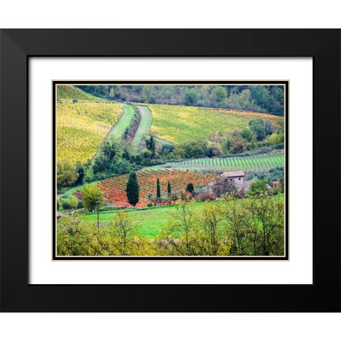 Italy-Tuscany View of the Tuscan countryside Black Modern Wood Framed Art Print with Double Matting by Eggers, Julie