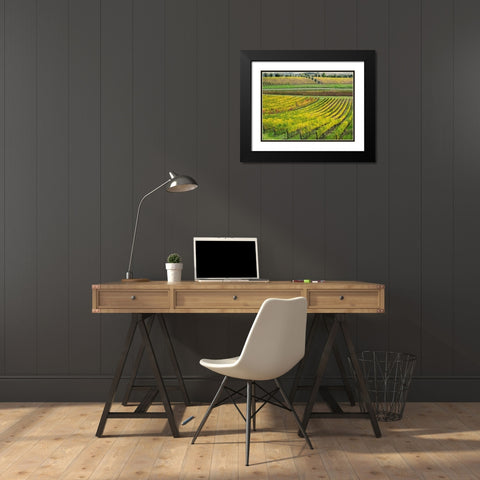 Italy-Tuscany Colorful vineyard in autumn Black Modern Wood Framed Art Print with Double Matting by Eggers, Julie