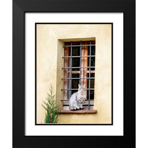 Italy-Tuscany-Pienza Cat sitting on a window ledge along the streets Black Modern Wood Framed Art Print with Double Matting by Eggers, Julie