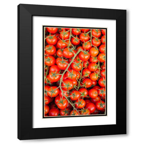Italy- Umbria- Montefalco. Closeup of tomatoes on the vine. Black Modern Wood Framed Art Print with Double Matting by Eggers, Julie