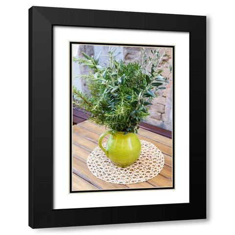 Italy- Umbria- Montefalco. Flower pot display of fresh herbs. Black Modern Wood Framed Art Print with Double Matting by Eggers, Julie