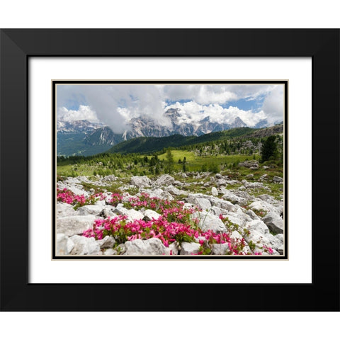 Croda da Lago in the Dolomites of the Veneto near Cortina dAmpezzo-view towards Sorapis Black Modern Wood Framed Art Print with Double Matting by Zwick, Martin
