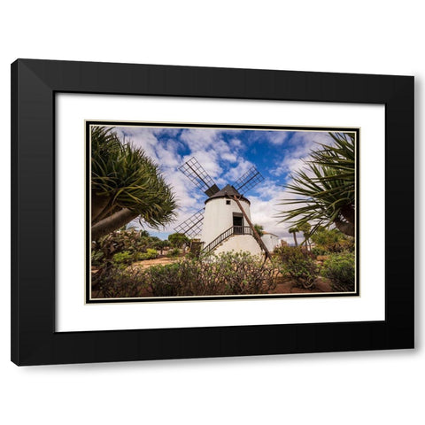 Canary Islands-Fuerteventura Island-Antigua-traditional island windmill Black Modern Wood Framed Art Print with Double Matting by Bibikow, Walter