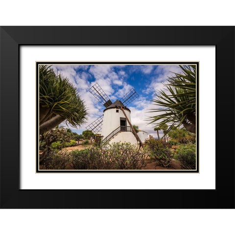 Canary Islands-Fuerteventura Island-Antigua-traditional island windmill Black Modern Wood Framed Art Print with Double Matting by Bibikow, Walter