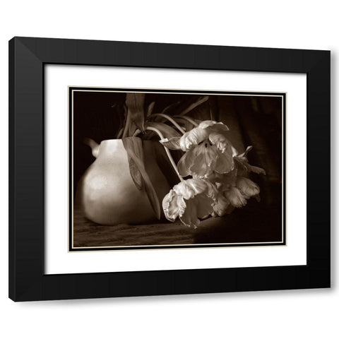 Sepia tone Tulips Black Modern Wood Framed Art Print with Double Matting by Miller, Anna
