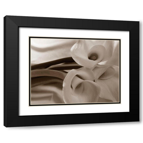 Sepia tone Calla Lily Black Modern Wood Framed Art Print with Double Matting by Miller, Anna