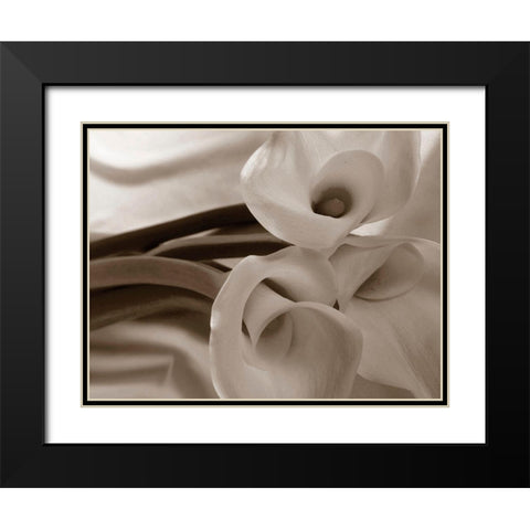 Sepia tone Calla Lily Black Modern Wood Framed Art Print with Double Matting by Miller, Anna