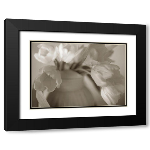 Sepia tone Tulips Black Modern Wood Framed Art Print with Double Matting by Miller, Anna