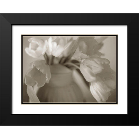 Sepia tone Tulips Black Modern Wood Framed Art Print with Double Matting by Miller, Anna